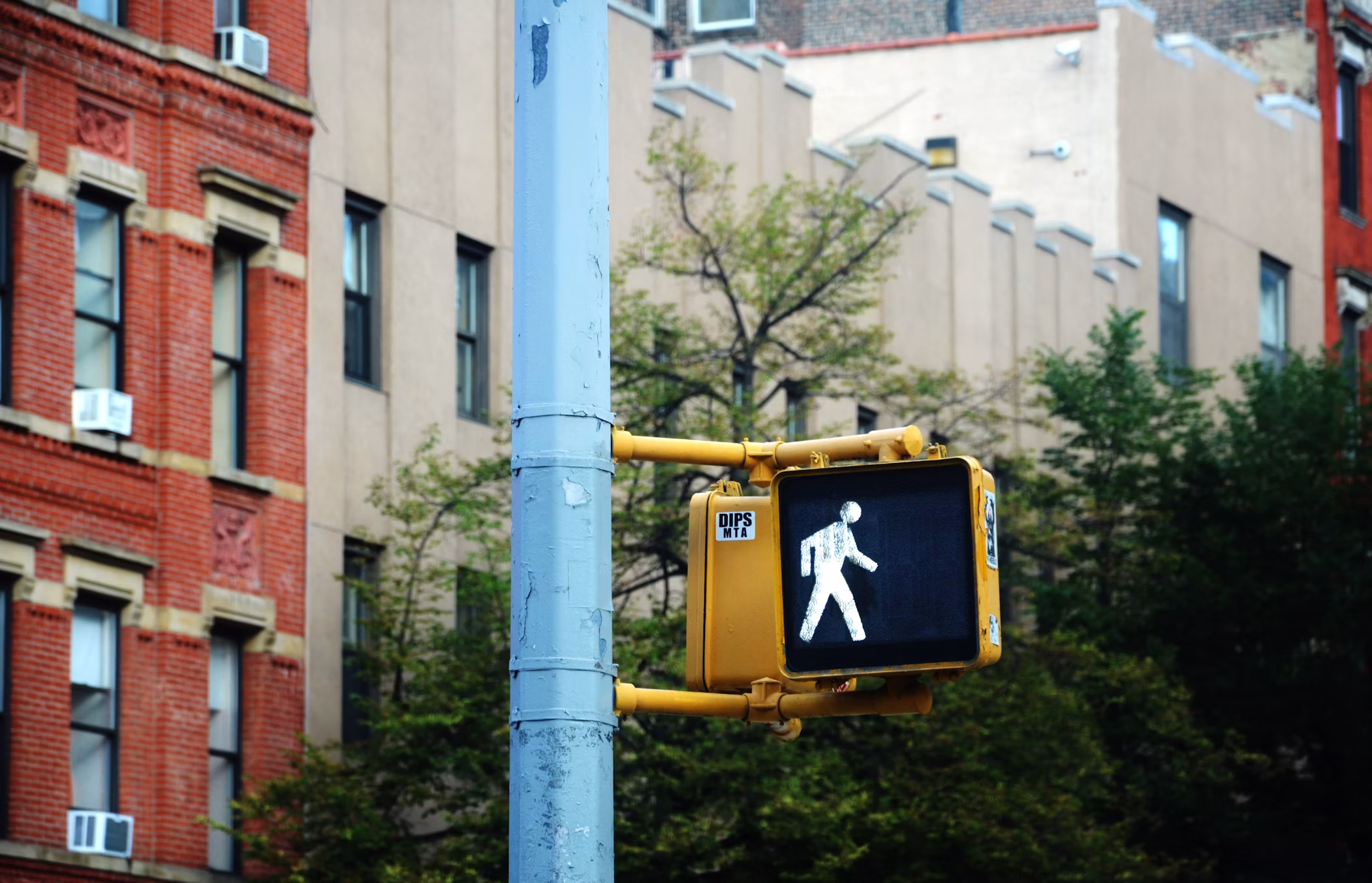 Reflecting on Dangerous by Design: The pedestrian safety crisis is personal, and it's time to remember that