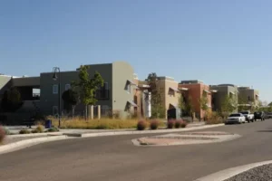 Five houses lined along a street with shrubbery and plants along the sidewalk. 